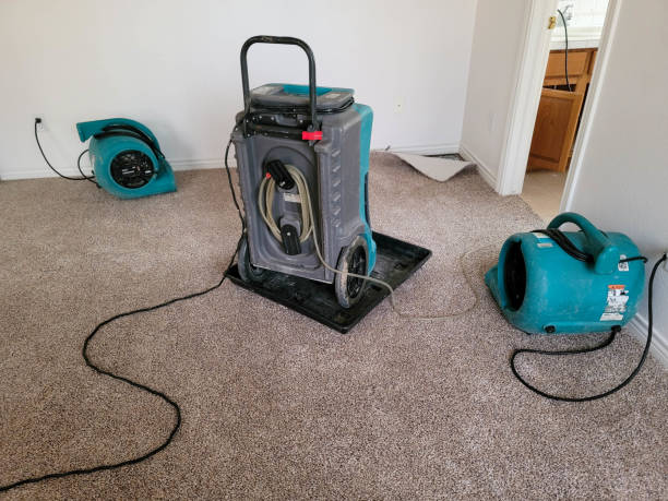 Best Water damage cleanup near me  in Bay Point, CA