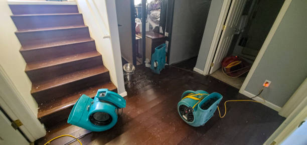 Best Water damage contractors near me  in Bay Point, CA
