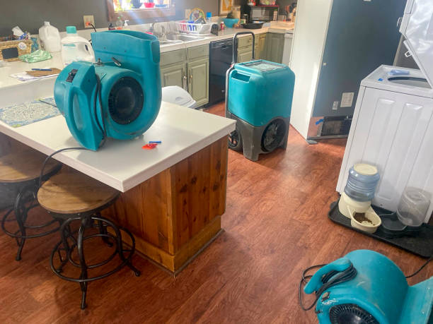 Best Water damage contractors near me  in Bay Point, CA