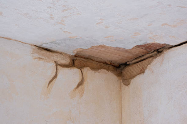 Best Water damage restoration specialists  in Bay Point, CA