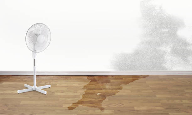 Best Professional water damage repair  in Bay Point, CA