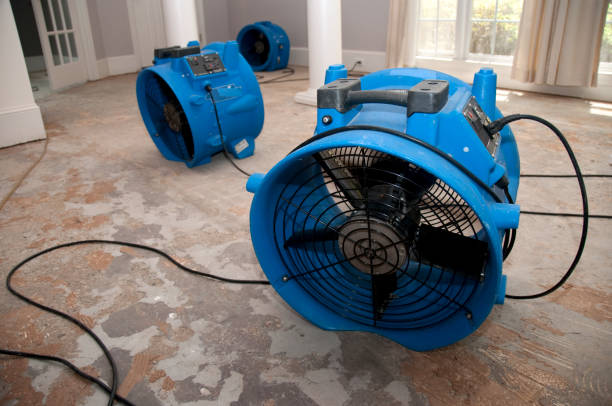 Best Local water damage restoration  in Bay Point, CA