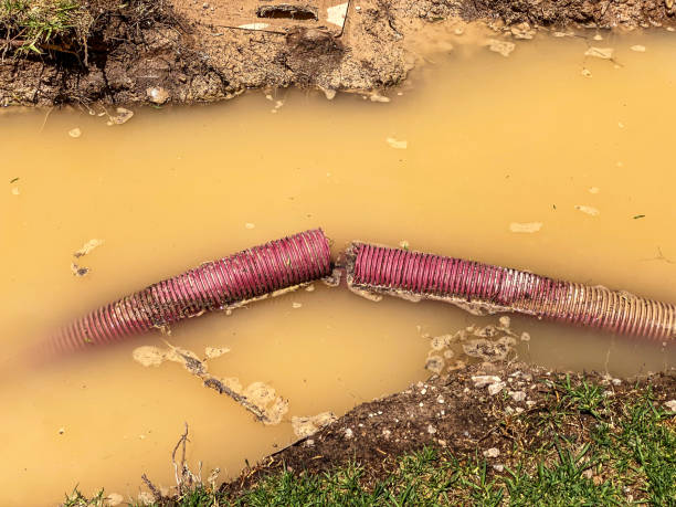 Carpet water damage restoration in Bay Point, CA