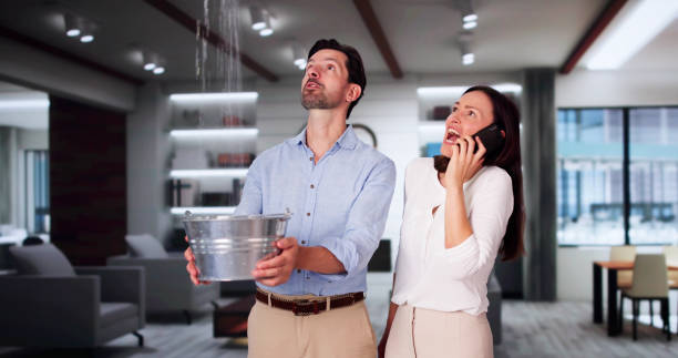 Best Carpet water damage restoration  in Bay Point, CA